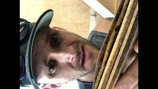 Don&rsquo;t use non-pressure treated wood for outdoor projects! #shorts #shortsvideo