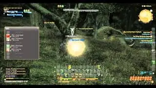 Final Fantasy XIV Online - Yew logs/Carbonized Matter Farming Guide