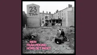 H&auml;nger p&aring; en tr&aring;d (Remastered 2024)