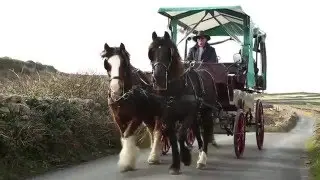 Thomas Faherty Horse and Carriage Tours