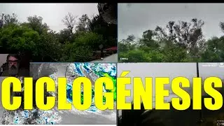 CICLOGÉNESIS