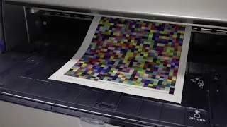 SilverFast SE Plus 8 Calibraci&oacute;n de Impresora (espa&ntilde;ol)