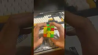 Teodor Zajder 2.76 WR single reconstruction