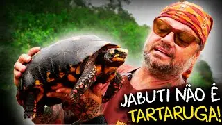 EM BUSCA DAS TARTARUGAS DO ARAGUAIA: UMA AVENTURA NA NATUREZA!