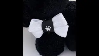 pet bows and barrette bow