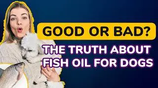 Omega-3 Magic? Why Dogs Love Fish Oil (and When to Skip It) | PetMade