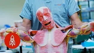 'Westworld' IRL: Creating Lifelike Synthetic Human Cadavers