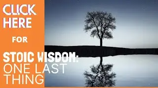 Daily Stoic Life | Marcus Aurelius Quote: One Last Thing | Higher Self Awareness | BEducated