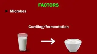 Exploring Chemical Reactions: Requirements and Products | Chemistry for Kids