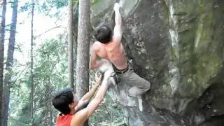Magic Wood 2011, 