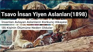 1898 Tsavo İnsan Yiyenler: İnsanları Avlayan Aslanların Korkun&ccedil; Hikayesi #doğakeşifleri #tsavo #lion