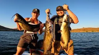 Fishing At Lake Skinner In California With Jimmy Nsx Fishing Guide!