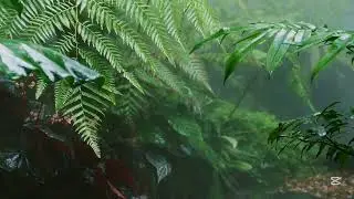 Relaxing Rain Sounds = Drift to Sleep