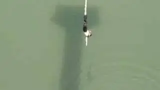 Bungee Jump accident miscalculation fail