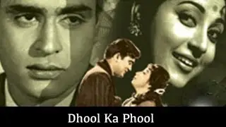 Dhool Ka Phool 1959, 133/365 Bollywood Centenary