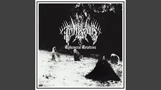 Cleansing the Ecclesiastical Scourge
