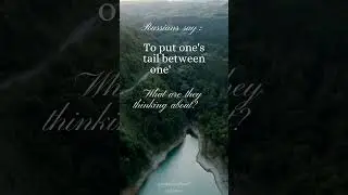 To put one's tail between one's legs