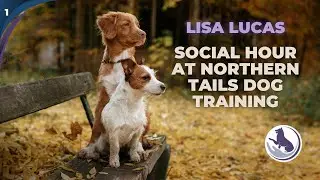 Social hour at Northern Tails Dog Training with Lisa Lucas #1