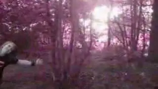 AMONZ - Nature Lady