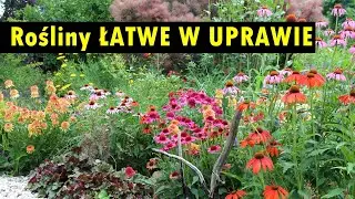 OGRÓD DLA LENIWYCH czyli rośliny łatwe w uprawie