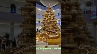 Dior Christmas Tree - Dubai Mall ( 15.12.25 )