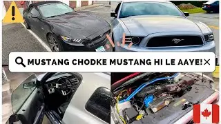 MUSTANG 🐎 CHOD KE MUSTANG 🔥HI UTHA LI! 🚘 #mustang #canada #piyushgera