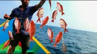 RED SNAPPER FISHING VIDEOS