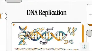 DNA Replication : Molecular Biology NCERT NEET