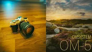A Love Letter to the OM SYSTEM OM-5
