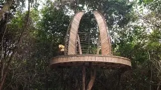 Build the Most Beautiful Billionaire Tree House in the woods for Live
