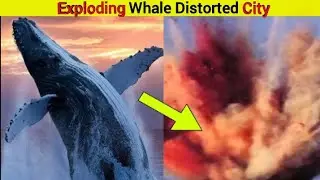 Exploring the Iconic Exploding Whale Event in Oregon