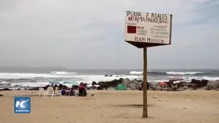 Ins&oacute;lito, solo 13 % de las playas, aptas para ba&ntilde;arse en Chile