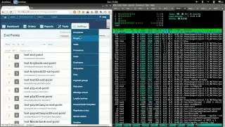 wandboard + payneteasy