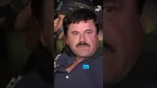 Mexican drug lords arrested in the US | DW News