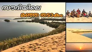 Al-Asfar Lake/Yellow Lake/Al Ahsa Lake/മഞ്ഞ തടാകം/Al Asfaar Lake Hasa