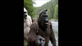 Bigfoot Meets Yeti and Frankenstein&mdash;Adventure Vlog Gone Wild! #bigfootvlogs #vlog #bigfoot #yeti