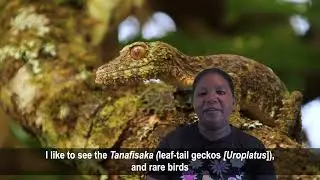 VONJY HARY TIANA Sabine | Tour Guides | Preserving knowledge of endemic species in Madagascar
