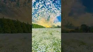 The serene, overcast sky blankets the landscape in a soft, diffused light, #shorts