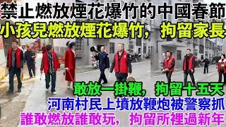 禁止燃放煙花爆竹的中國春節。小孩兒燃放煙花爆竹，拘留家長。湖南煙花爆竹之鄉禁止燃放煙花爆竹。敢放一掛鞭，拘留十五天。紅馬甲重出江湖，宣傳禁放政策。河南人組隊去安徽買炮放。河南村民上墳放鞭炮被警察逮捕