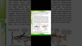 Osmoregulation in fresh water (English)