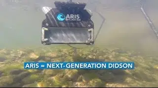Учебное пособие и обзор камеры ARIS