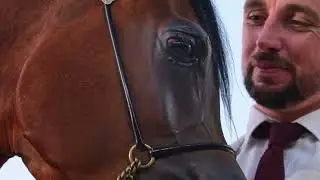 THE LADIES OF AL JUMAIL STUD - GCAT Muscat 2024