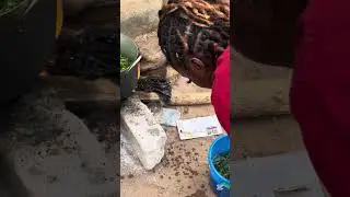 How to cook Waterleaf, egusi(melon seed) ukazi soup