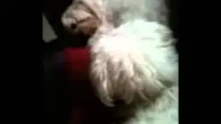 Alby Singing Gotye....Shorten version...