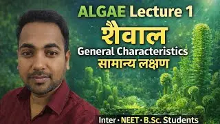 ALGAE Lecture 1 | शैवाल के सामान्य लक्षण | General Characteristics of Algae | Inter • NEET • B.Sc. 