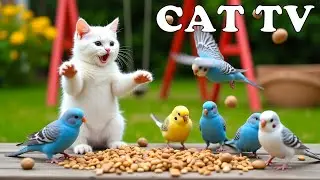 Nature Therapy For Cats When Home Alone: 4K CAT TV with Beautiful Birds 😻🦜 Relaxing Bird Sounds 🎶