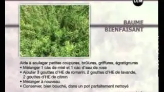 Catherine Fructus -LCM 15 septembre.mov