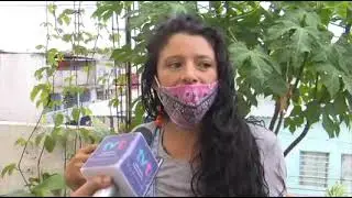 Cosechan vegetales en Escuela de Agroecolog&iacute;a Urbana Permea