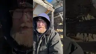 Cook wood vs Heating wood