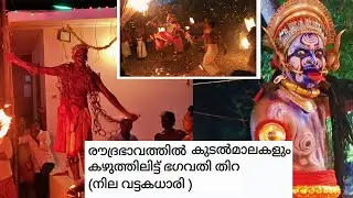 ഭഗവതി തിറ (നില വട്ടകധാരി )/ ശ്രീ പൂത്താലി പാണ്ടികശാല ഭഗവതി ക്ഷേത്രം ഫറോക്ക് കോളേജ് 2025